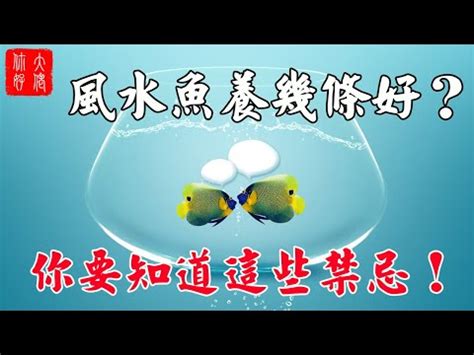 養魚數量吉數